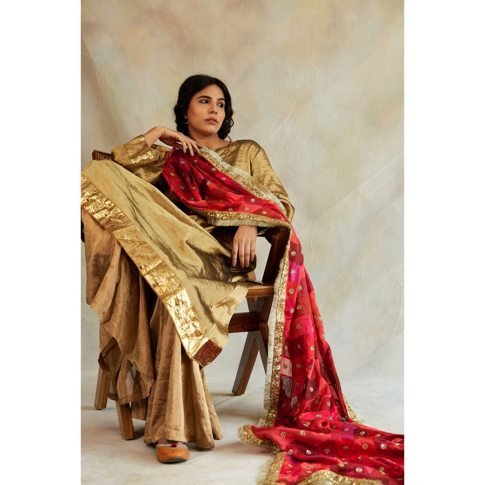 PRIYANKA RAAJIV Gulshan Patchwork Heritage Dupatta