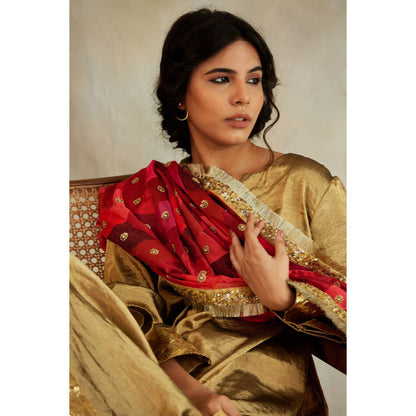 PRIYANKA RAAJIV Gulshan Patchwork Heritage Dupatta
