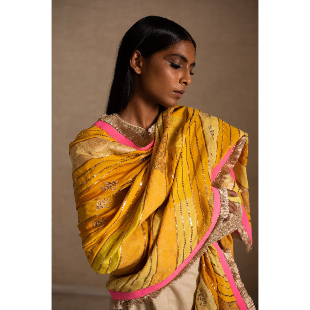 PRIYANKA RAAJIV Aashi Yellow Patchwork Dupatta