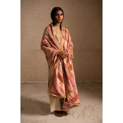 PRIYANKA RAAJIV Aahi Patchwork Pink and Beige Dupatta