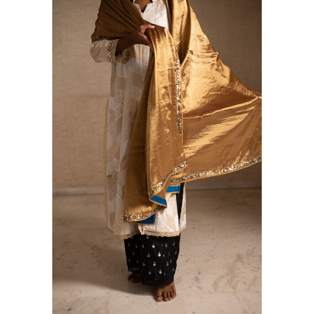 PRIYANKA RAAJIV Aabha Gold Silk Tissue Chanderi Dupatta