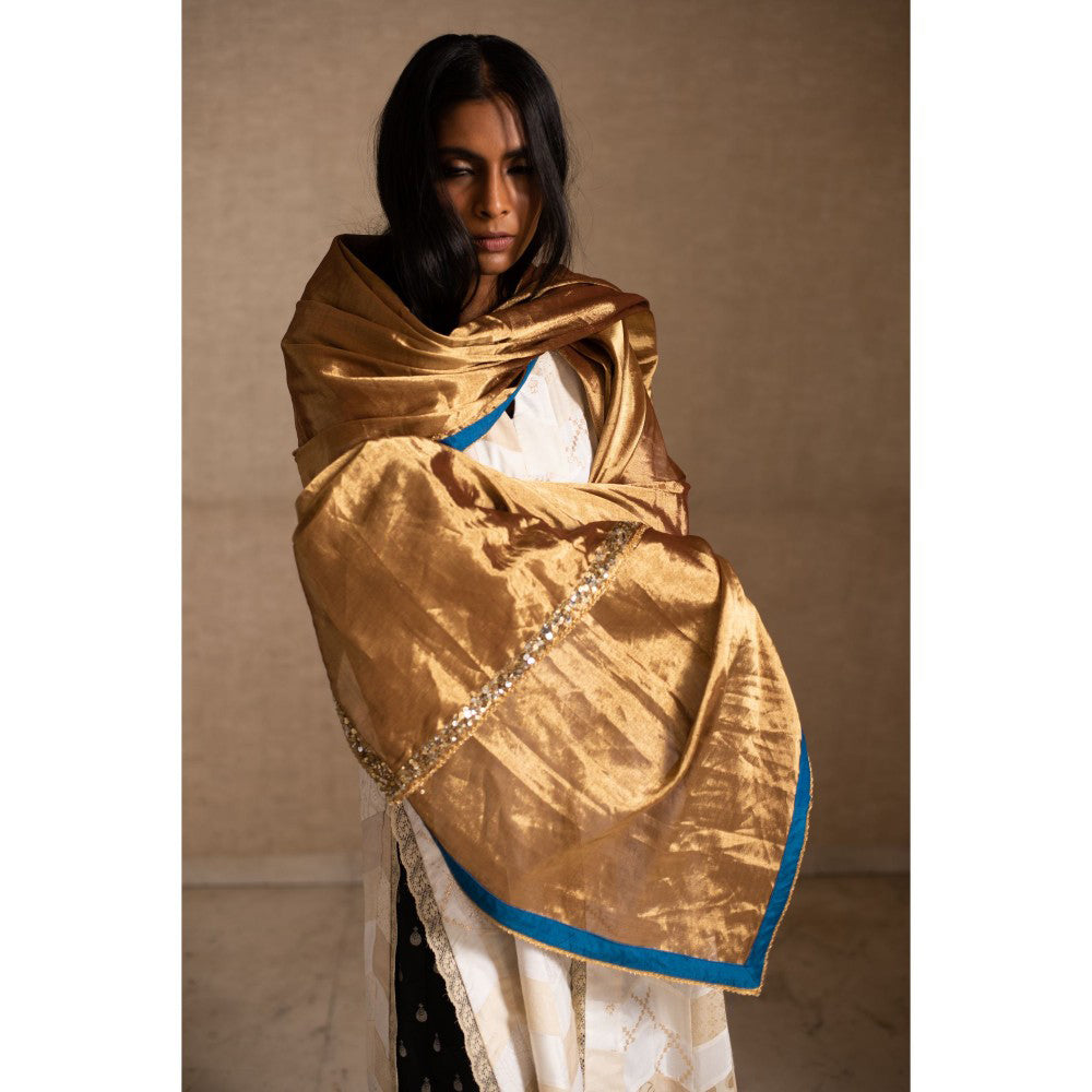 PRIYANKA RAAJIV Aabha Gold Silk Tissue Chanderi Dupatta