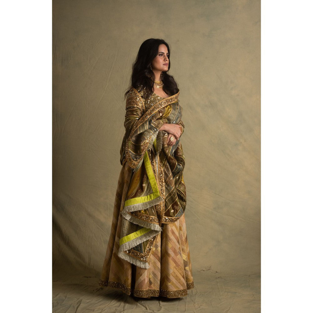 PRIYANKA RAAJIV Keerat Gradient Green Dupatta