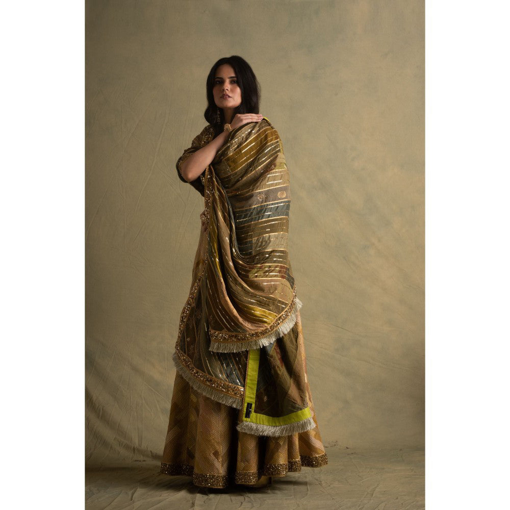 PRIYANKA RAAJIV Keerat Gradient Green Dupatta