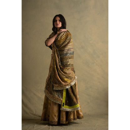 PRIYANKA RAAJIV Keerat Gradient Green Dupatta