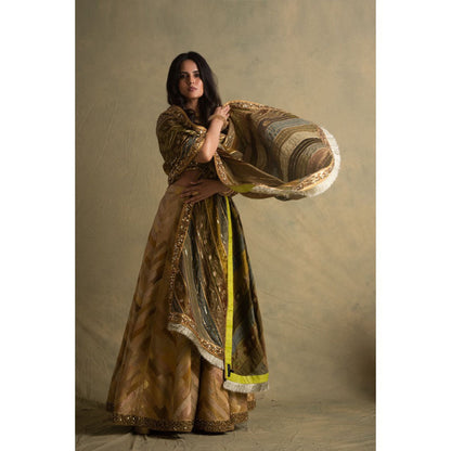 PRIYANKA RAAJIV Keerat Gradient Green Dupatta