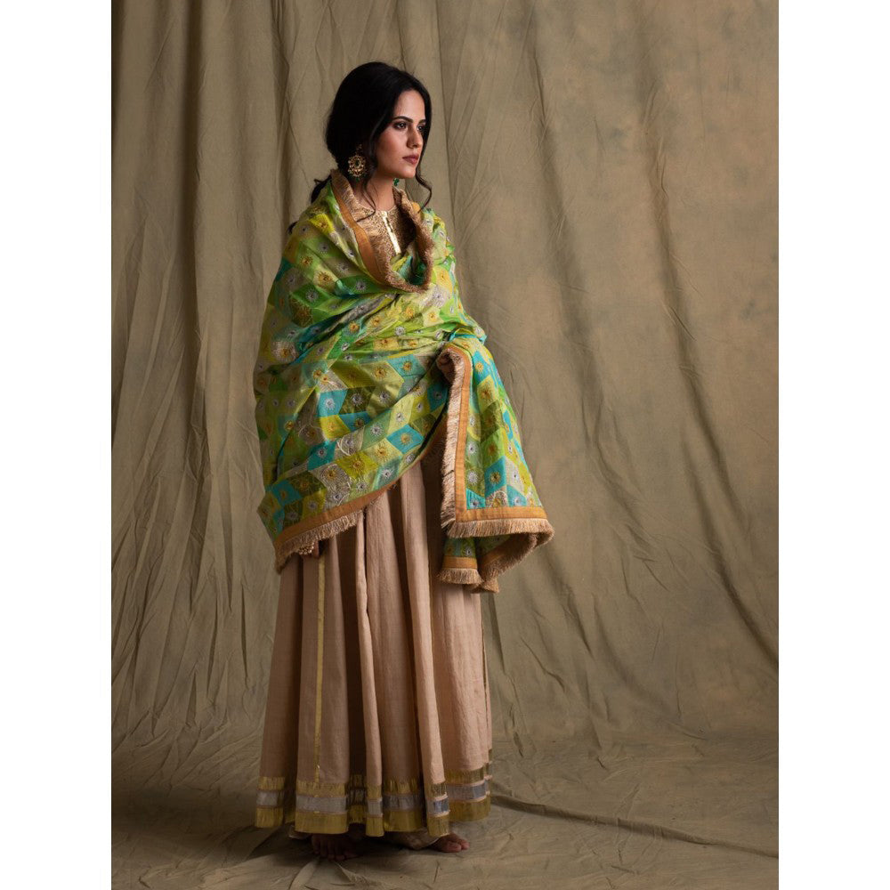PRIYANKA RAAJIV Harit Blended Teal Patchwork Dupatta