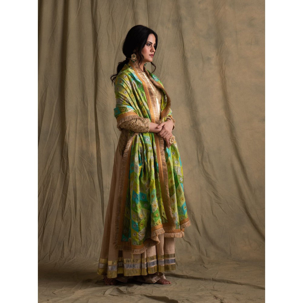 PRIYANKA RAAJIV Harit Blended Teal Patchwork Dupatta