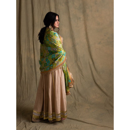 PRIYANKA RAAJIV Harit Blended Teal Patchwork Dupatta