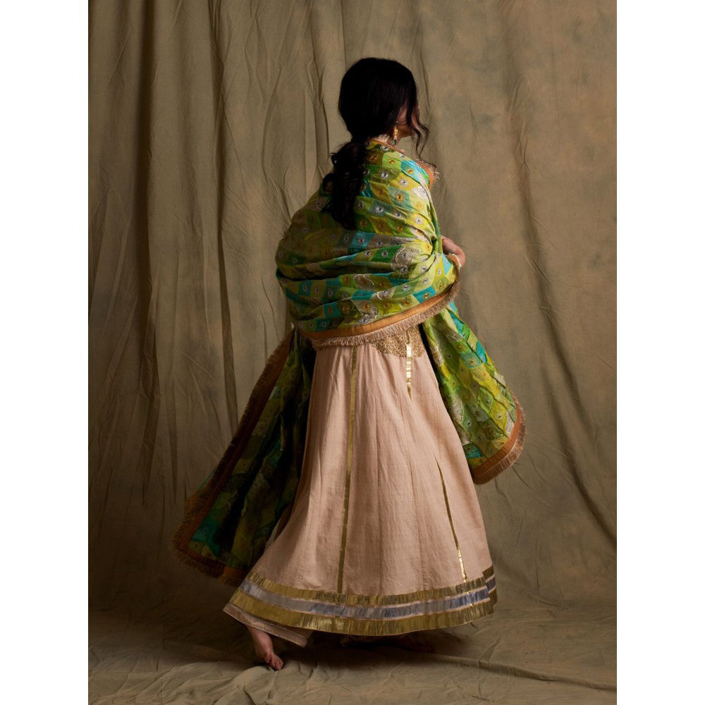 PRIYANKA RAAJIV Harit Blended Teal Patchwork Dupatta