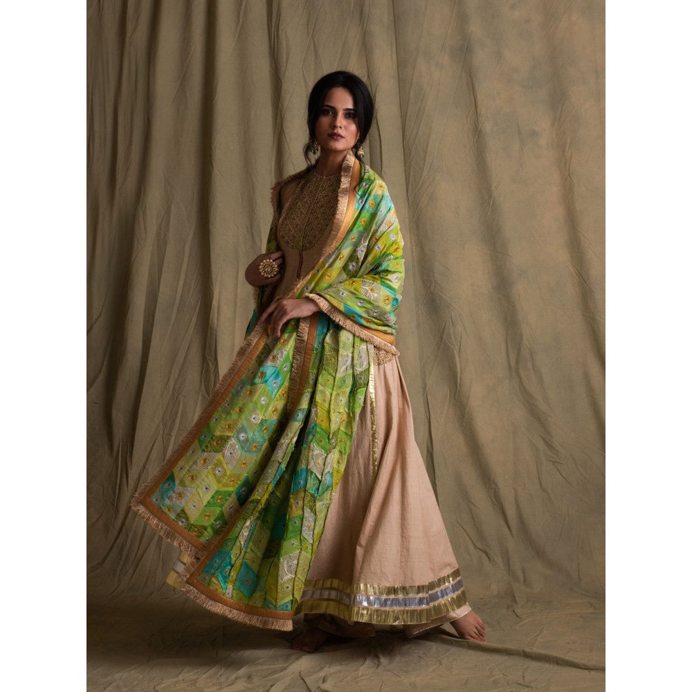 PRIYANKA RAAJIV Harit Blended Teal Patchwork Dupatta