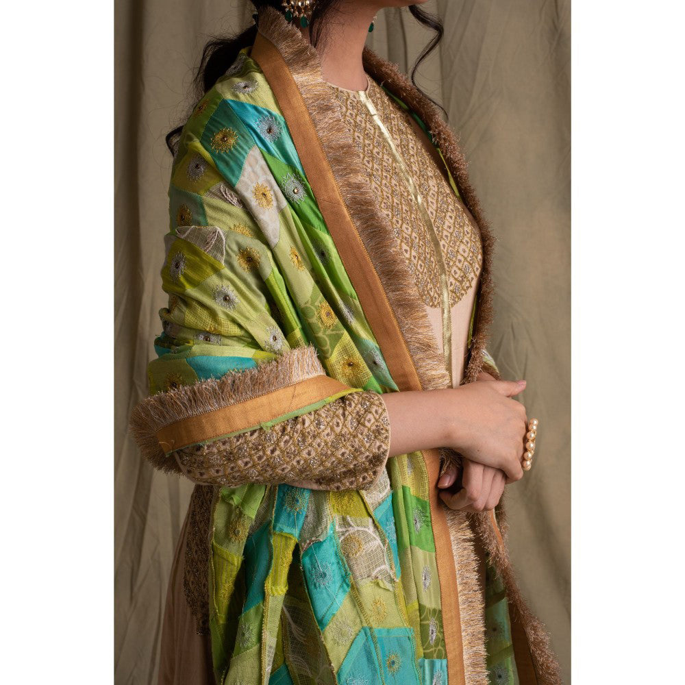 PRIYANKA RAAJIV Harit Blended Teal Patchwork Dupatta