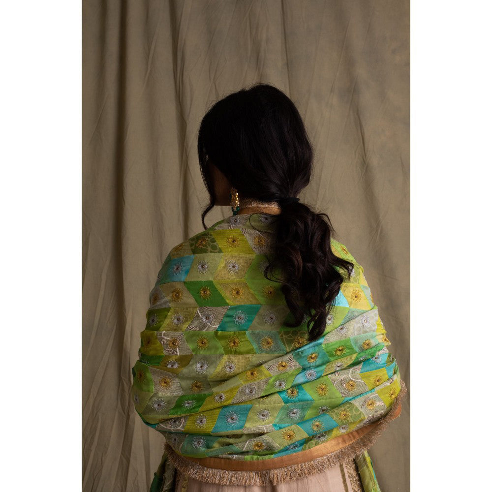 PRIYANKA RAAJIV Harit Blended Teal Patchwork Dupatta