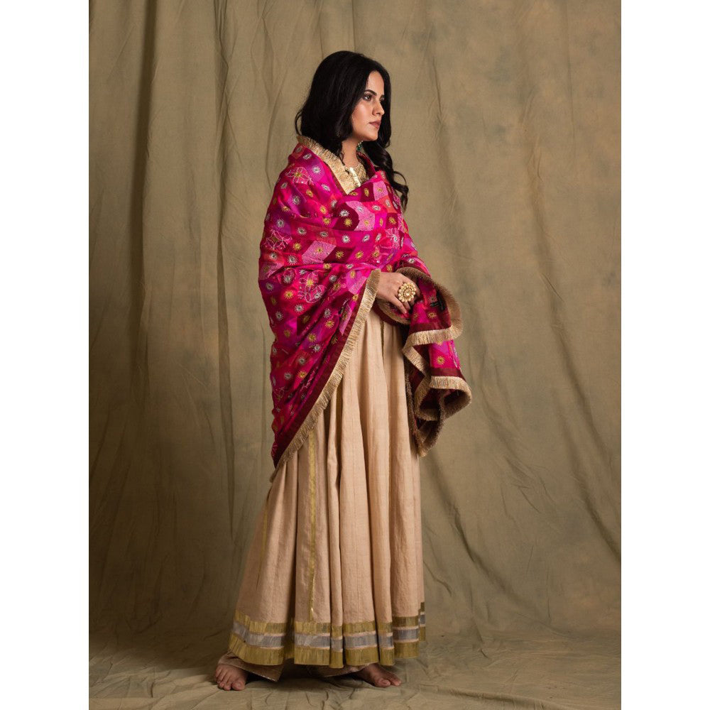 PRIYANKA RAAJIV Gulaabee Shaded Pink Patchwork Dupatta