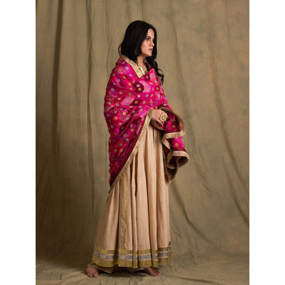 PRIYANKA RAAJIV Gulaabee Shaded Pink Patchwork Dupatta
