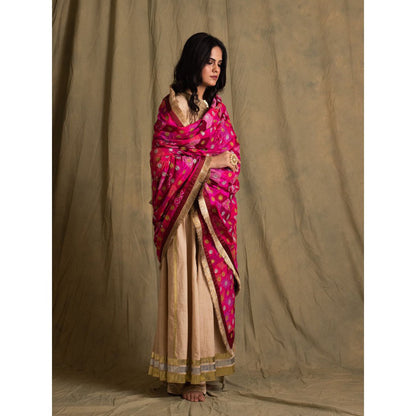 PRIYANKA RAAJIV Gulaabee Shaded Pink Patchwork Dupatta