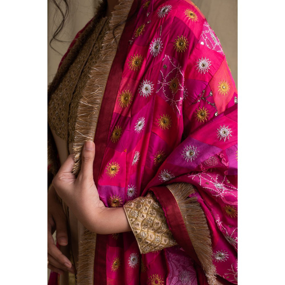 PRIYANKA RAAJIV Gulaabee Shaded Pink Patchwork Dupatta