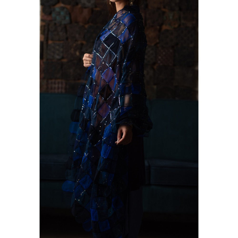 PRIYANKA RAAJIV Nesham Blue Tulle and Hand Embroidered Dupatta with Sequins