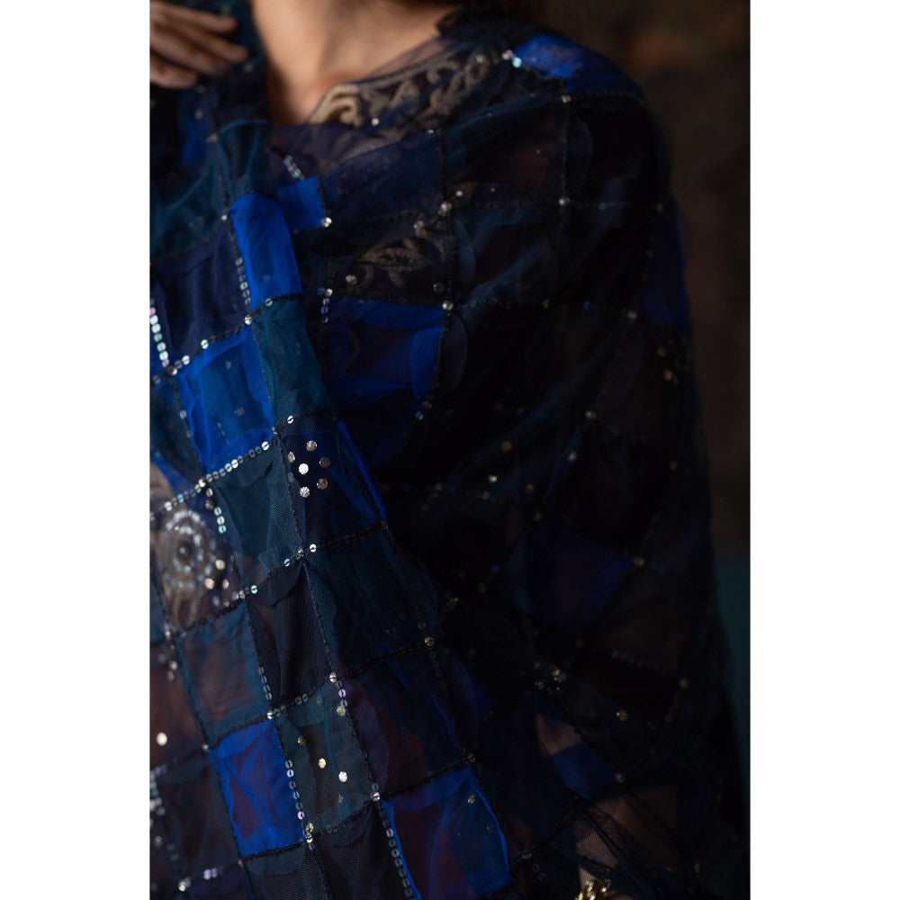 PRIYANKA RAAJIV Nesham Blue Tulle and Hand Embroidered Dupatta with Sequins