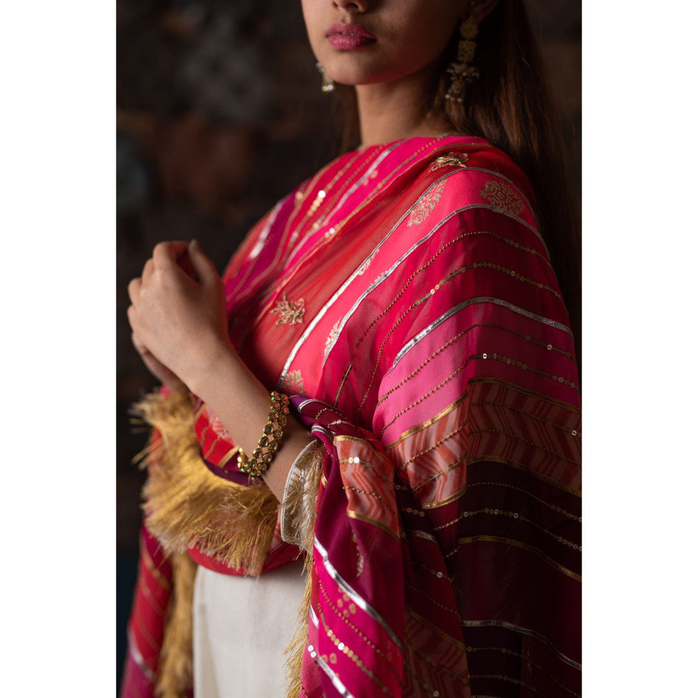 PRIYANKA RAAJIV Gopi Pink and Burgundy Patchwork Dupatta