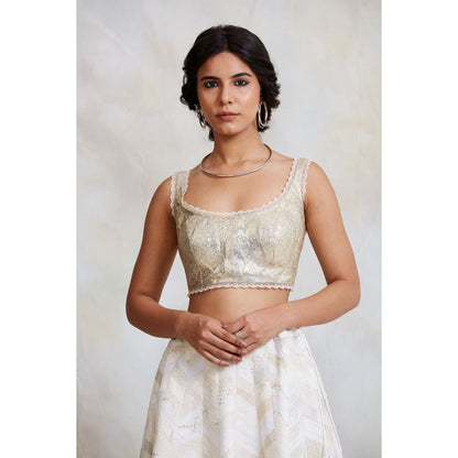 PRIYANKA RAAJIV Jarul Silver Gota Blouse