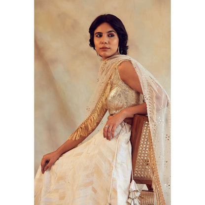 PRIYANKA RAAJIV Gule Makhmal Ivory Patchwork Lehenga (Set of 3)