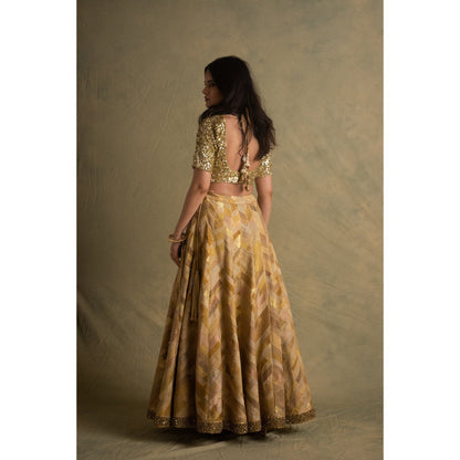 PRIYANKA RAAJIV Rumra Rika and Keerat Gold and Beige Lehenga (Set of 3)