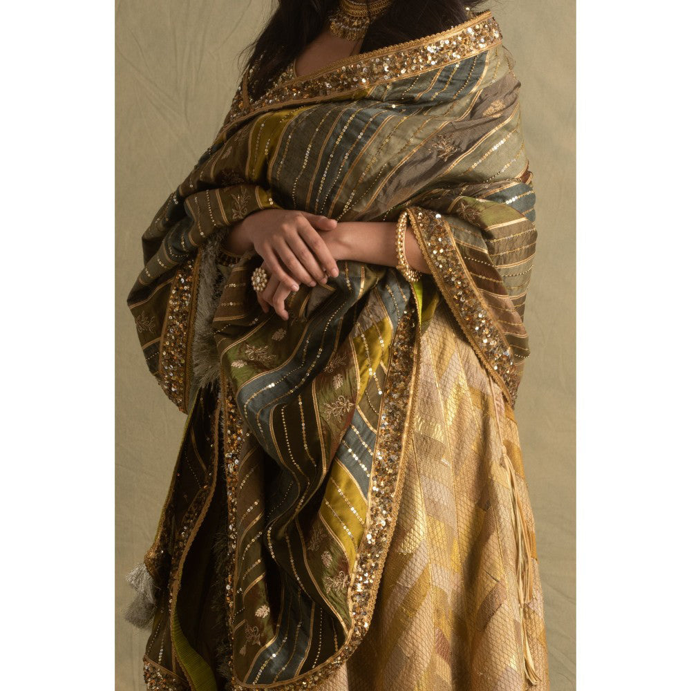 PRIYANKA RAAJIV Rumra Rika and Keerat Gold and Beige Lehenga (Set of 3)