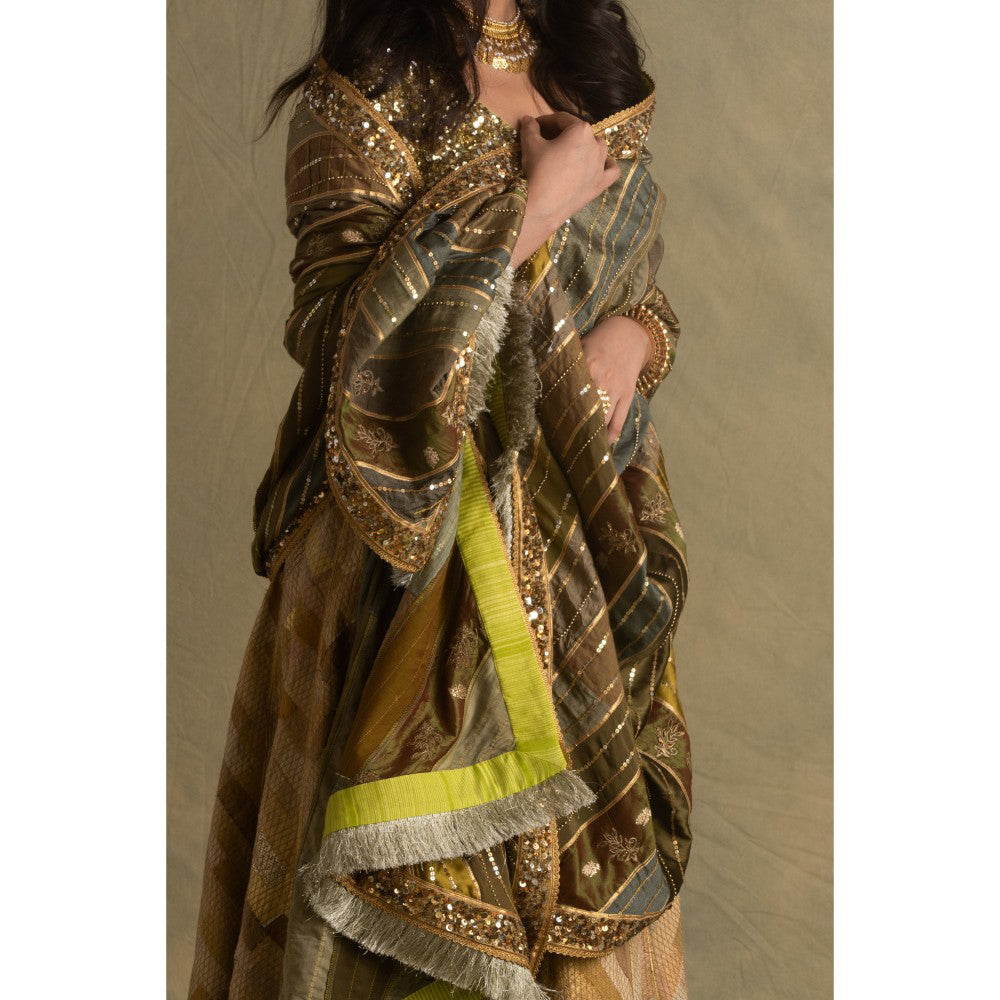 PRIYANKA RAAJIV Rumra Rika and Keerat Gold and Beige Lehenga (Set of 3)