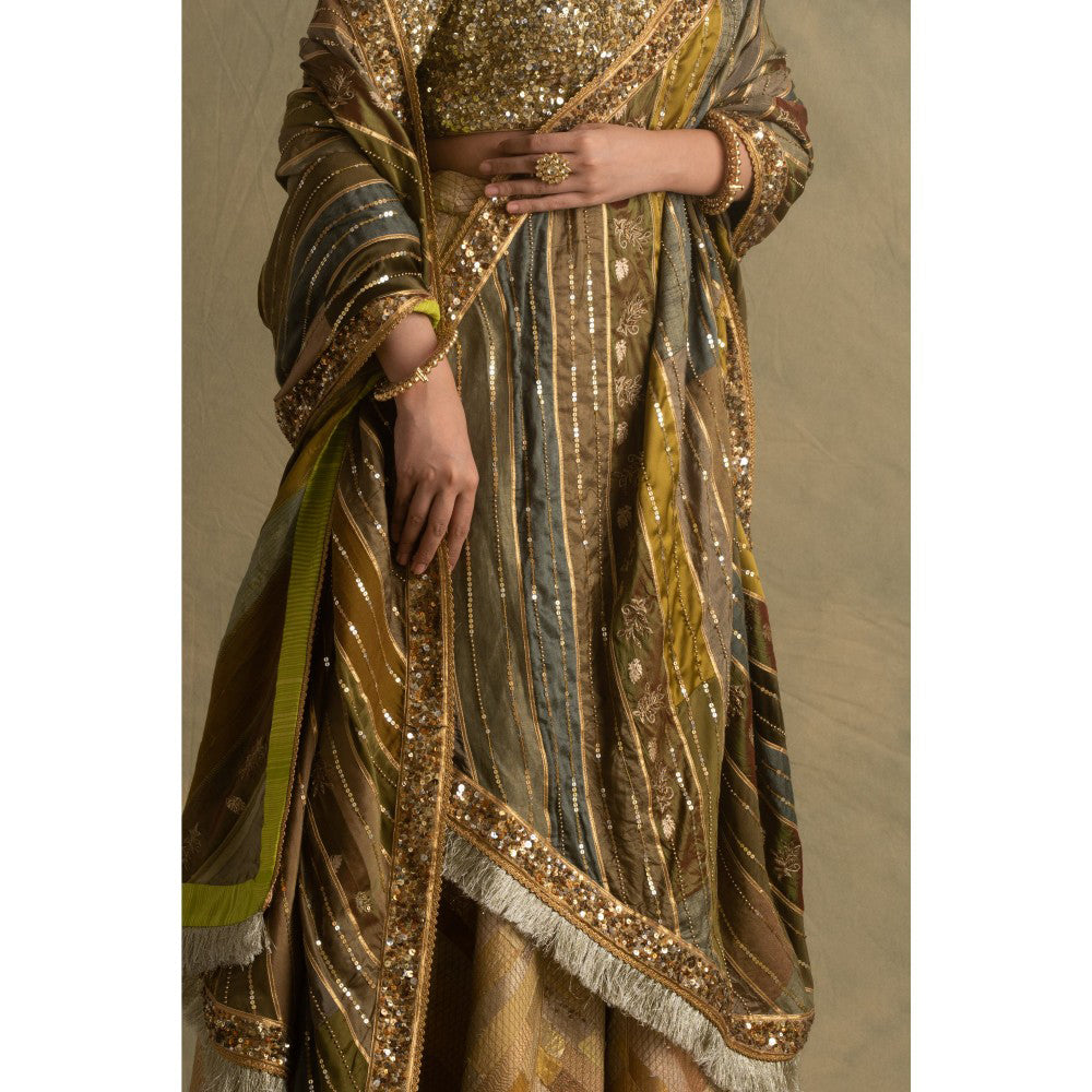 PRIYANKA RAAJIV Rumra Rika and Keerat Gold and Beige Lehenga (Set of 3)