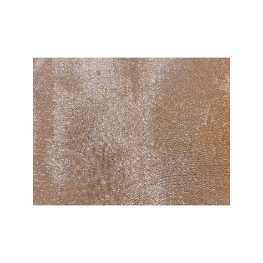 PRIYANKA RAAJIV Bhuvaneshwari Beige Chanderi Tissue Saree with Unstitched Blouse