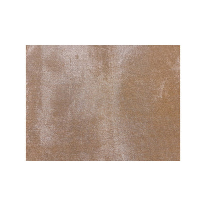 PRIYANKA RAAJIV Bhuvaneshwari Beige Chanderi Tissue Saree with Unstitched Blouse