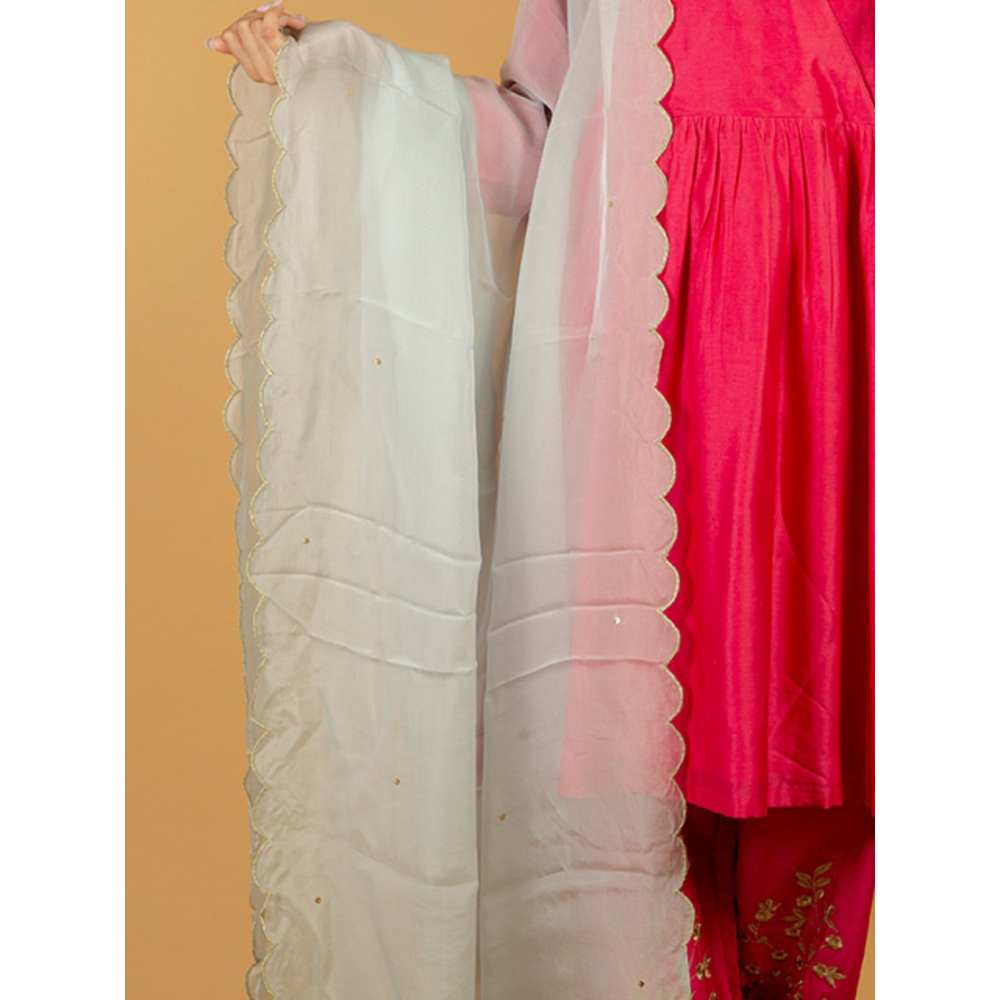 Priya Chaudhary Powder Blue Scalloped Organza Dupatta