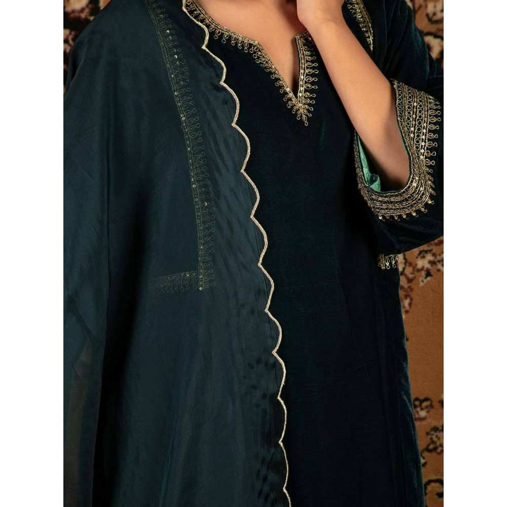 Priya Chaudhary Teal Blue Organza Dupatta