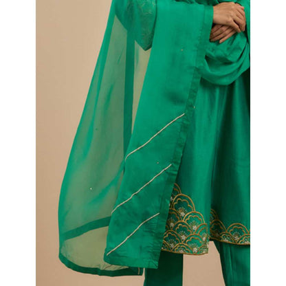 Priya Chaudhary Green Organza Dupatta
