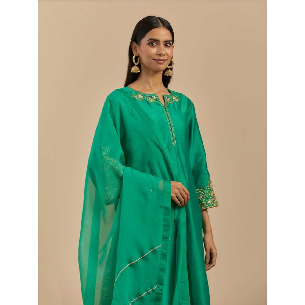 Priya Chaudhary Green Organza Dupatta