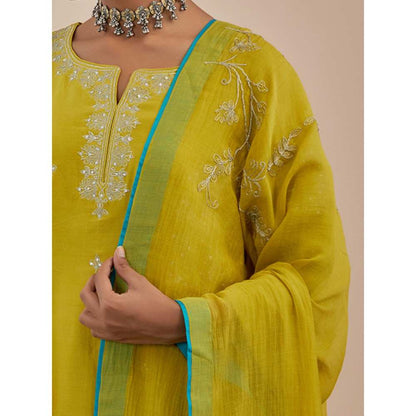 Priya Chaudhary Lime Green Chanderi Dupatta