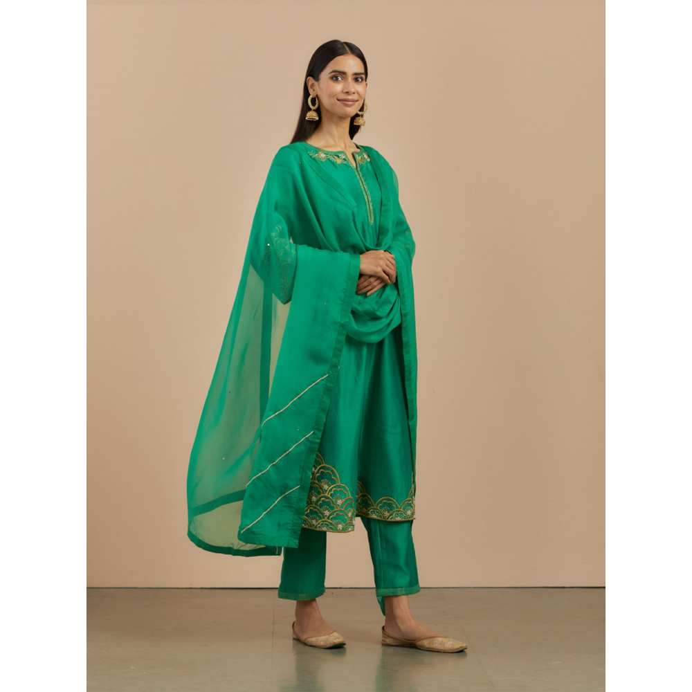 Priya Chaudhary Green Chanderi Silk Pants