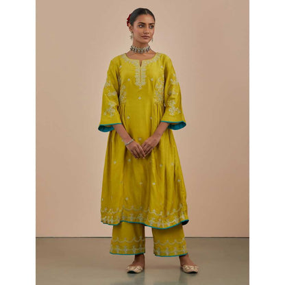 Priya Chaudhary Lime Green Embroidered Chanderi Silk Kurta
