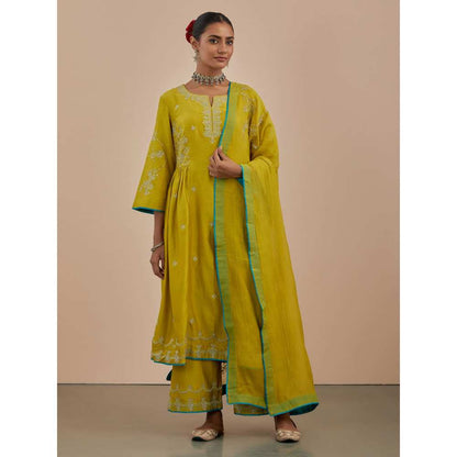 Priya Chaudhary Lime Green Chanderi Silk Pants