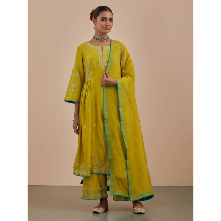 Priya Chaudhary Lime Green Chanderi Silk Pants