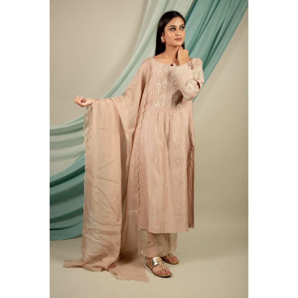 Priya Chaudhary Silver Brown Kurtas (Set of 3)