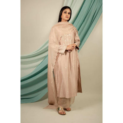Priya Chaudhary Silver Brown Kurtas (Set of 3)