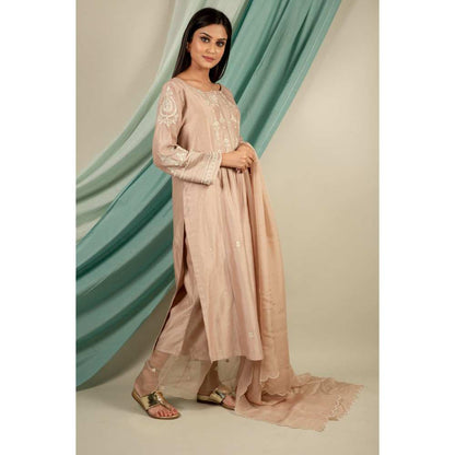 Priya Chaudhary Silver Brown Kurtas (Set of 3)
