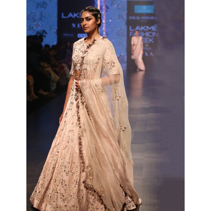 Payal Singhal Larisa Stone Velvet Embroidered Lehenga with Blouse & Dupatta (Set of 3)