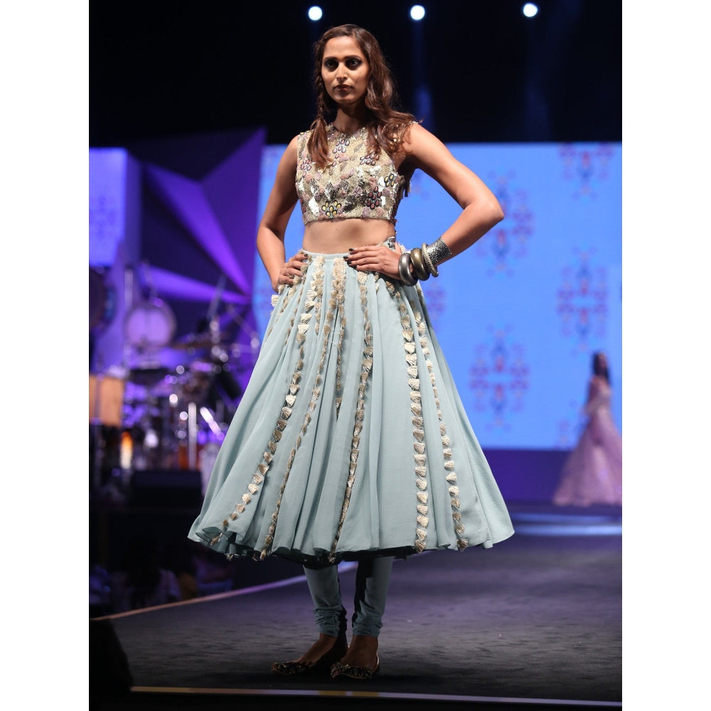 Payal Singhal Meriha Skirt with Attached Churidar with Blouse (Set of 2)