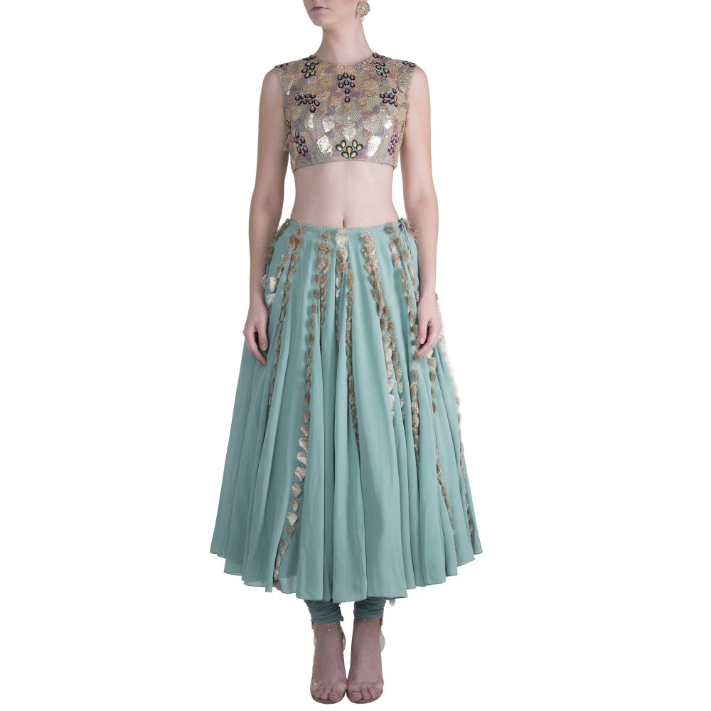 Payal Singhal Meriha Skirt with Attached Churidar with Blouse (Set of 2)