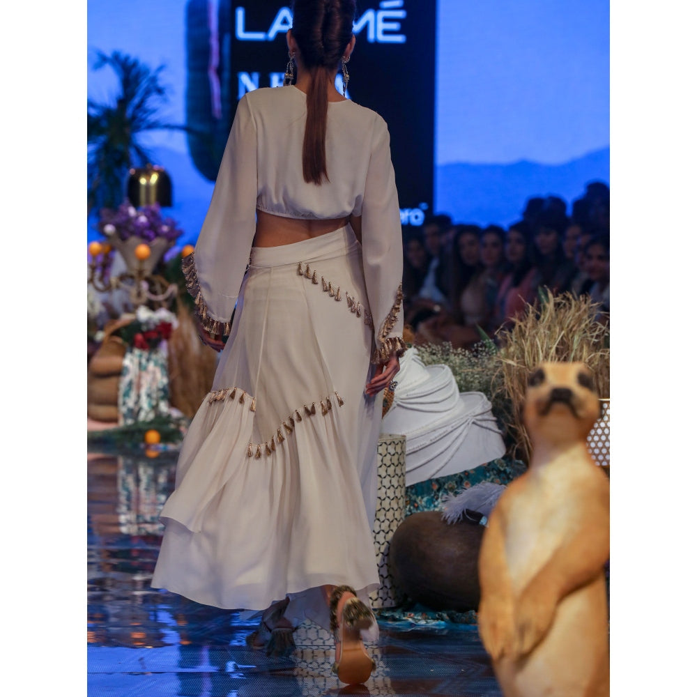 Payal Singhal Elena Embroidered Crop Top with Skirt (Set of 2)