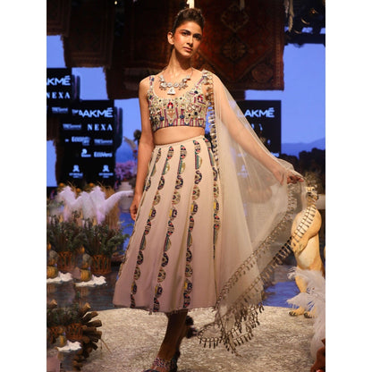 Payal Singhal Ema Embellished Lehenga with Blouse & Dupatta (Set of 3)