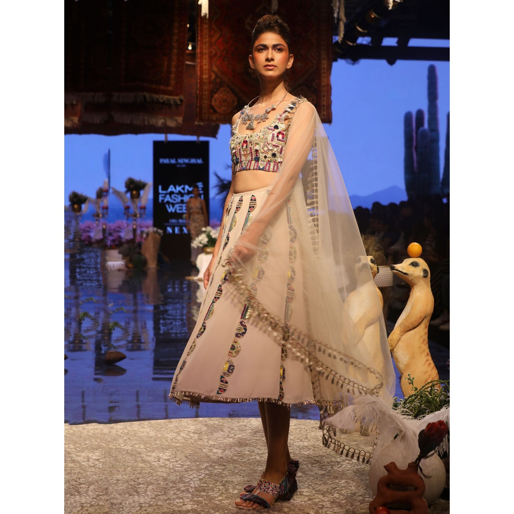 Payal Singhal Ema Embellished Lehenga with Blouse & Dupatta (Set of 3)